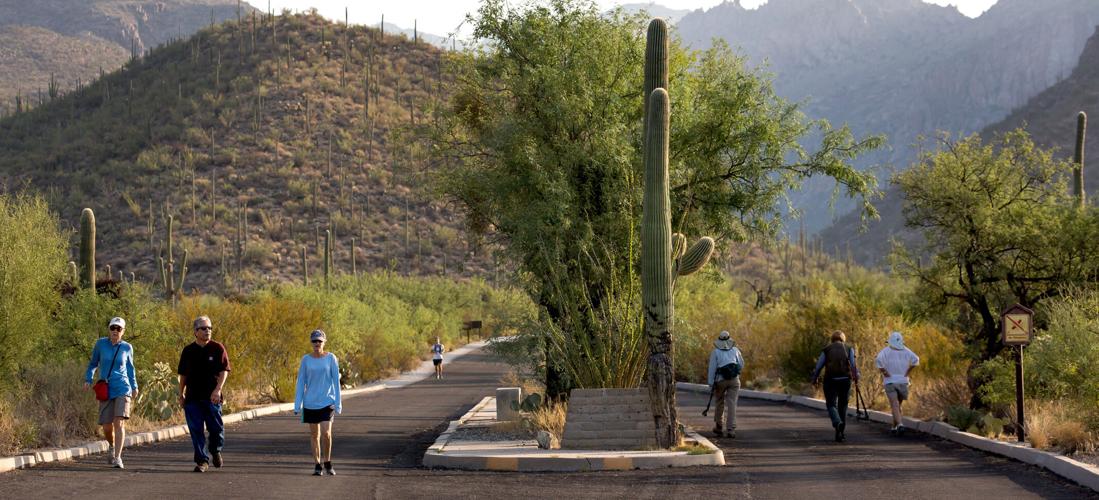 Sabino Canyon Recreation Area (le)