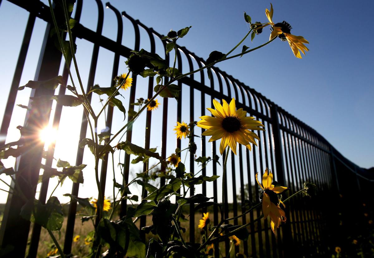 Texas border fence