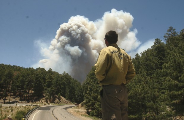Mt. Lemmon: A busy mountain