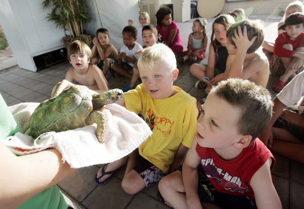 Swim school reaches beyond pool with its popular Kids Night Out   