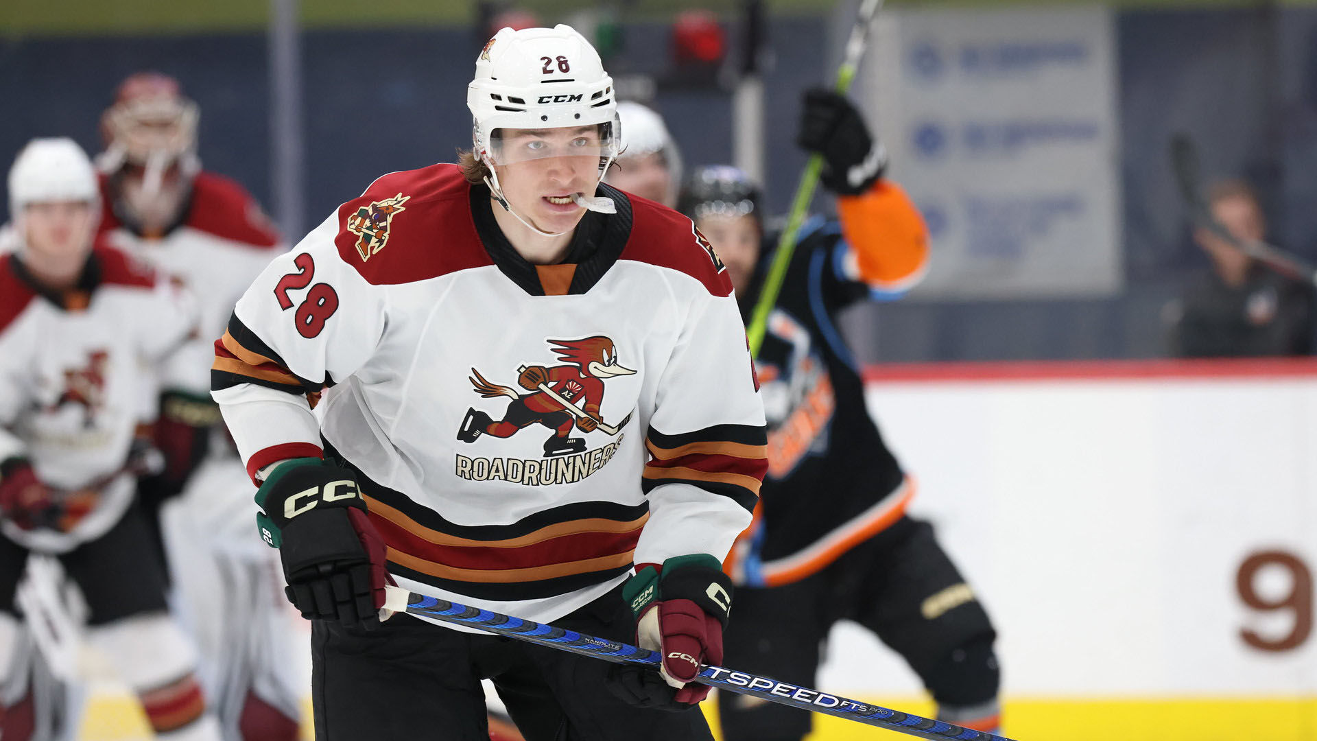 Curtis Douglas scores on milestone night as Roadrunners top Gulls; Festivus celebration set for Friday