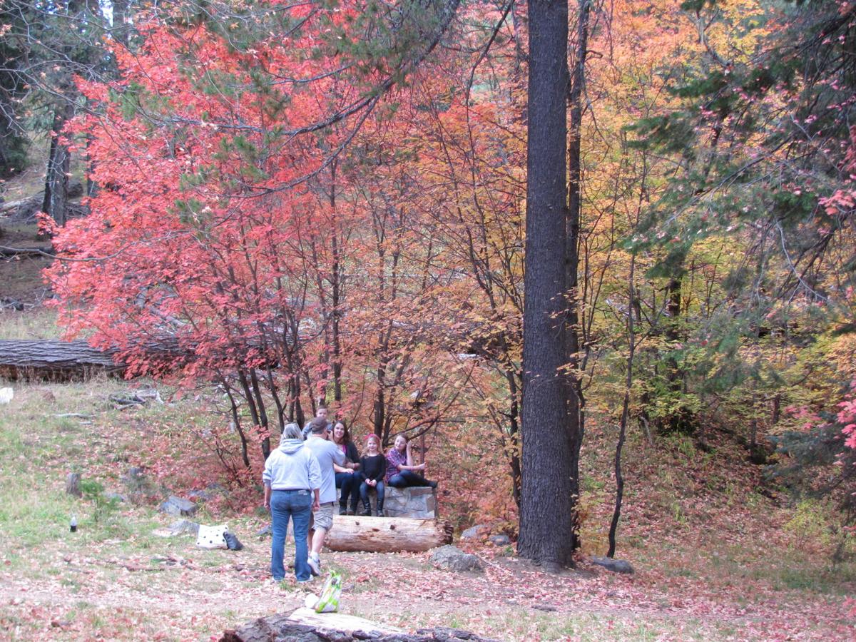 Autumn in the Catalina Mountains