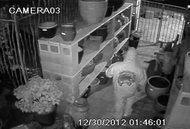 Brazen thefts of pottery aggravate store's owners    