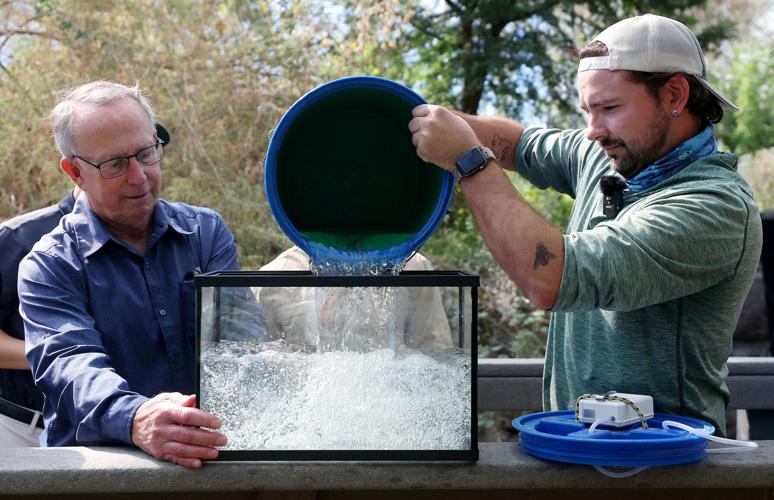 Feisty endangered fish finds new home inside Biosphere 2
