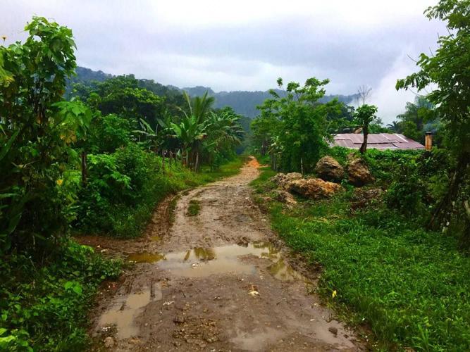 road near my house 2.jpg