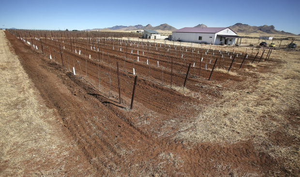 Flying Leap Vineyards