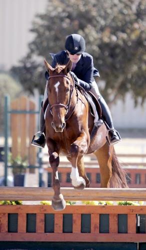 Horse event is fun for amateurs, pros   