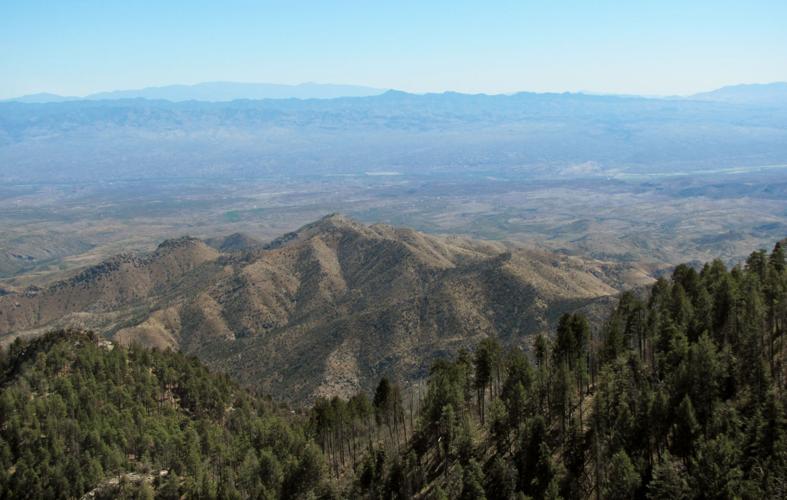 Trails on the eastern slopes of the Santa Catalina Mountains