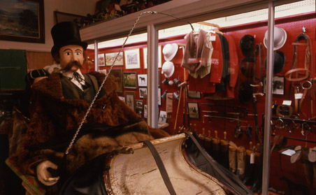 Anne Stradling and the Museum of the Horse   
