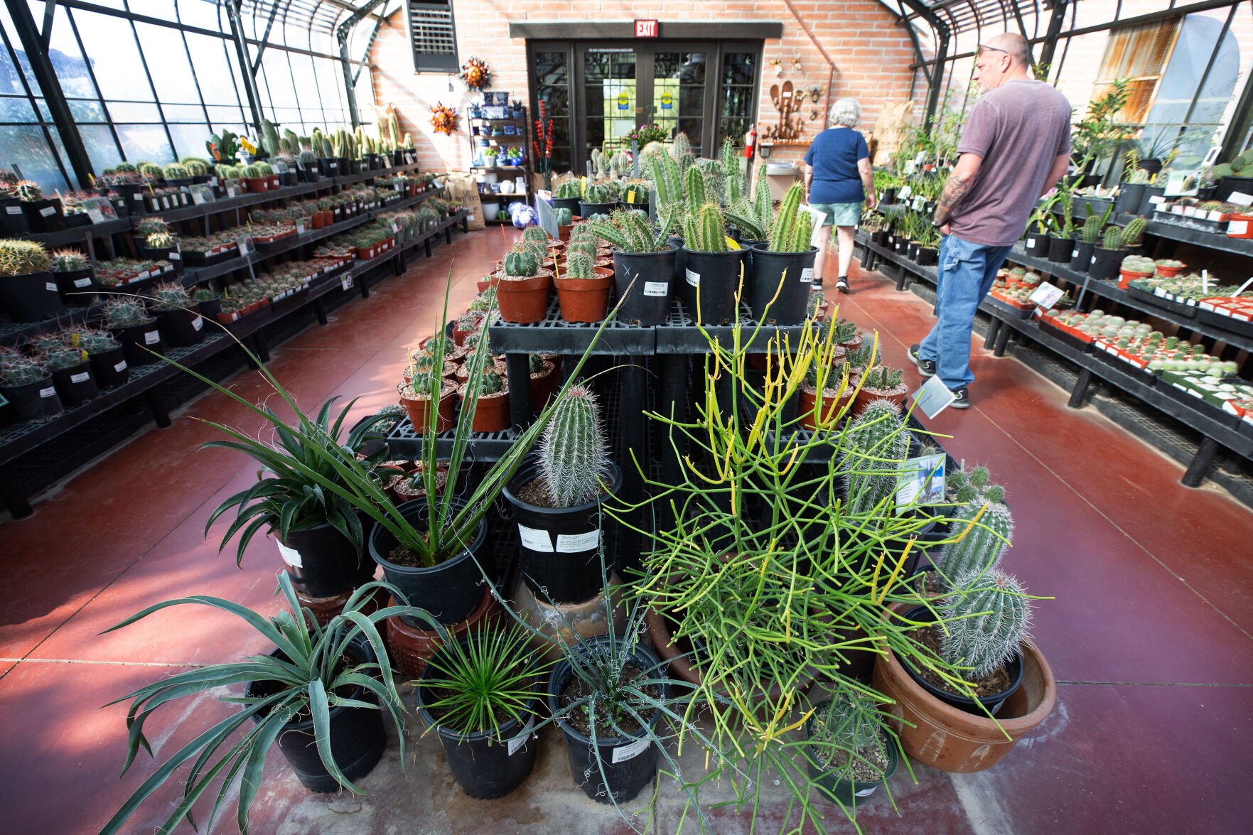 Shop Plants At These Eight Tucson Spots This Spring 2024 To Do   63936870239ee.image 