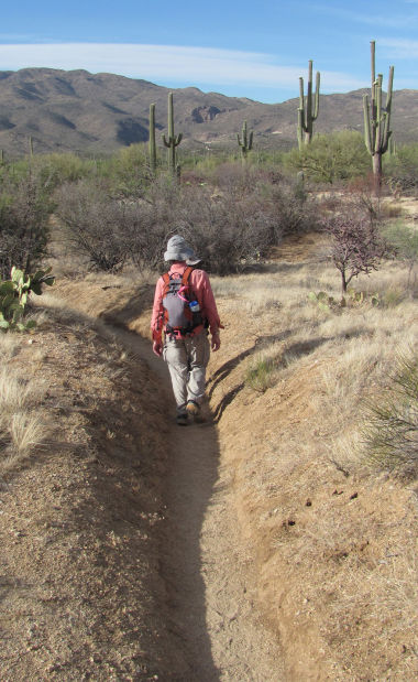 Horses' hooves, erosion turn trails into trenches