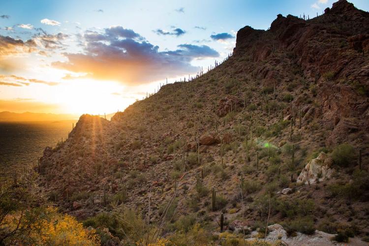 Gates Pass at Saguaro National Park