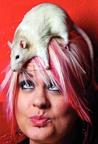 Oh, rats: The maligned pets  