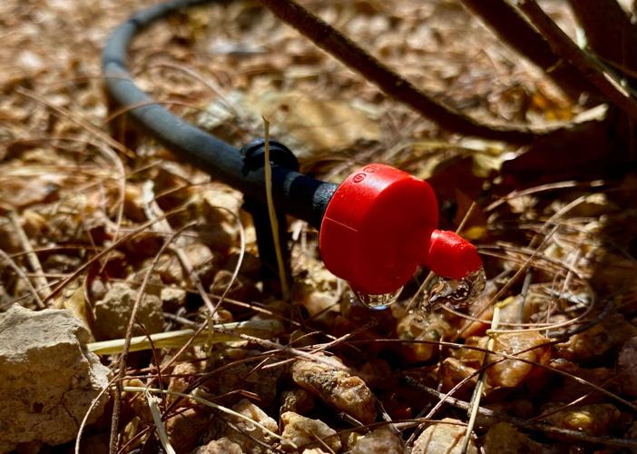 Red drip irrigation nozzle