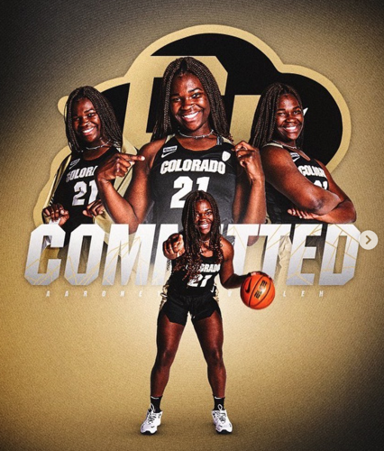 Screen Shot 2022-04-19 at 11.28.02 AM.png