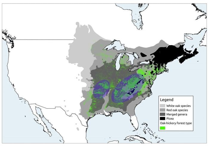 Modern distribution of tree genera