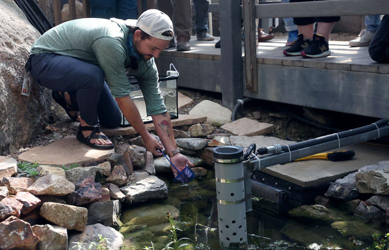 Feisty endangered fish finds new home inside Biosphere 2