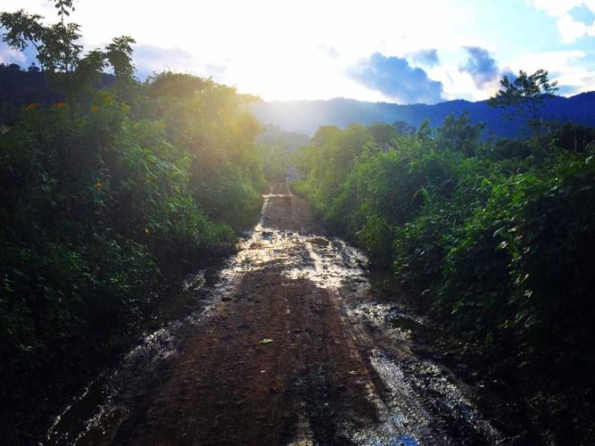 road near my house.jpg