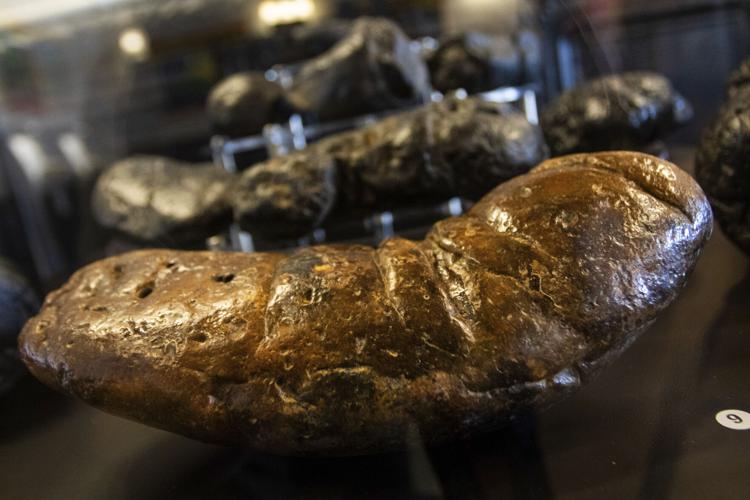 Arizona's 'Poozeum' uses fossilized poop to tell the stories of ancient animals