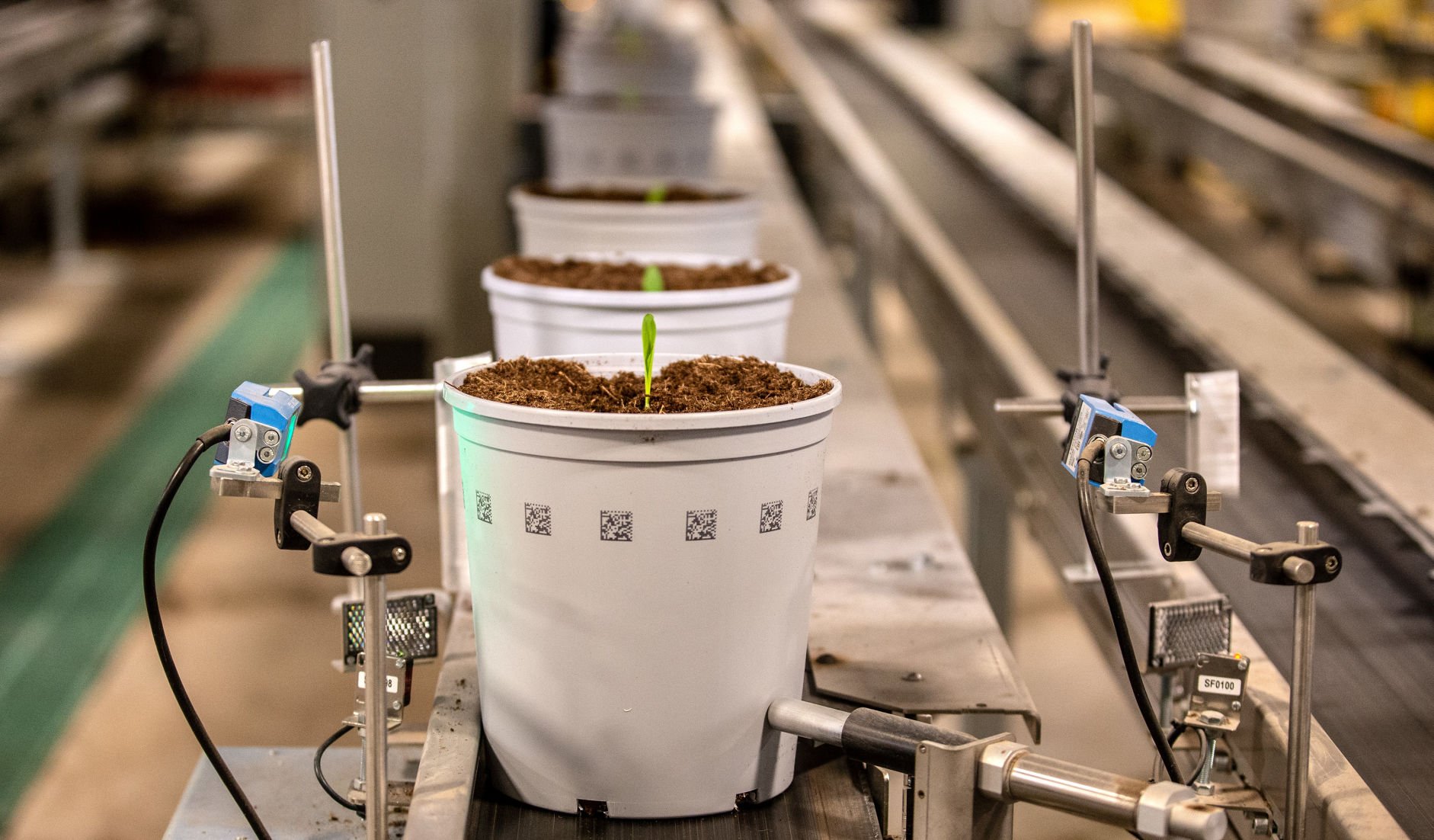 Bayer Automated Greenhouse