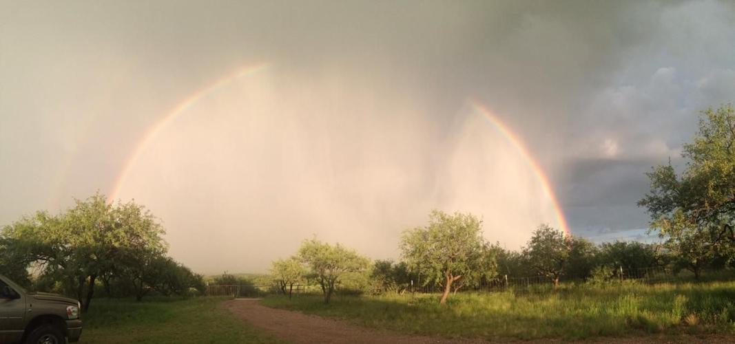 Monsoon rainbows in Tucson