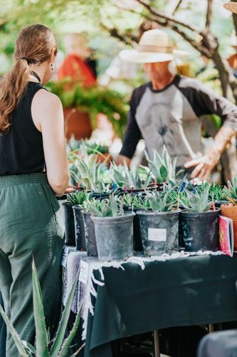 Agave Heritage Festival 2026