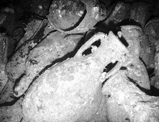 Well-preserved Roman shipwrecks found off Italian coast  