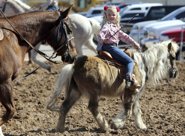 The Cowboy Channel: Watch Live Rodeo & More With These Top Two Streaming  Services - HotDog