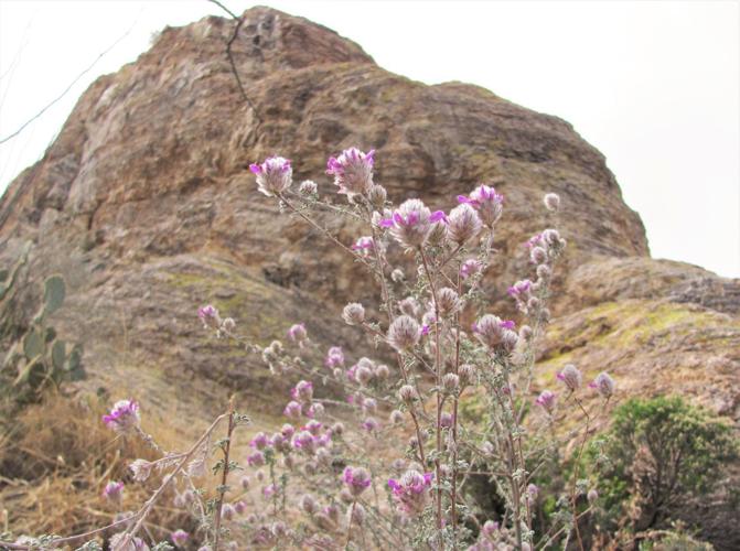 Large rock formation