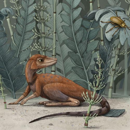 Mini Dinosaur