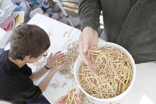 Big Jim: There is magic in mesquite beans