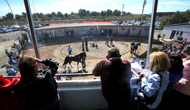 Horse racing at Rillito Race Track