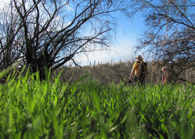 Catalina Park has it all    