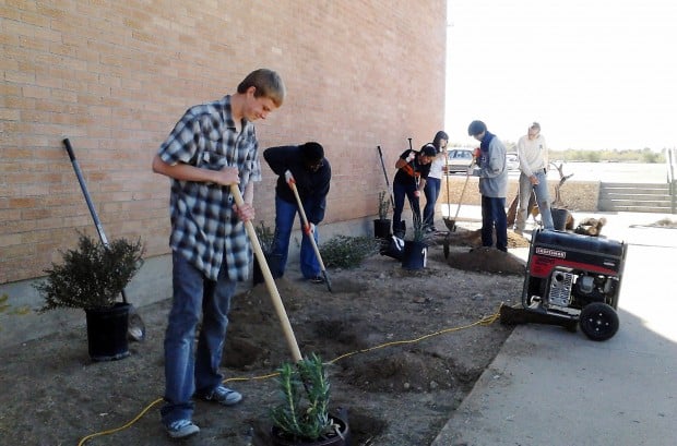 Civano digs in with Santa Rita to design, install landscaping    