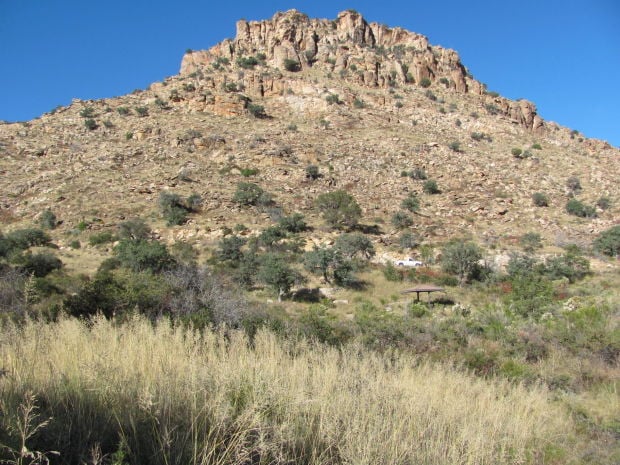 Grasses near Molino Basin Campground