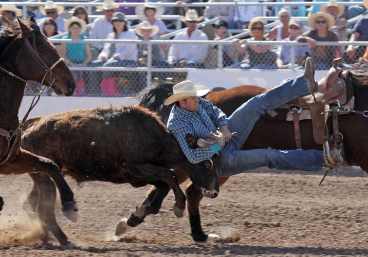 2016 Tucson Rodeo