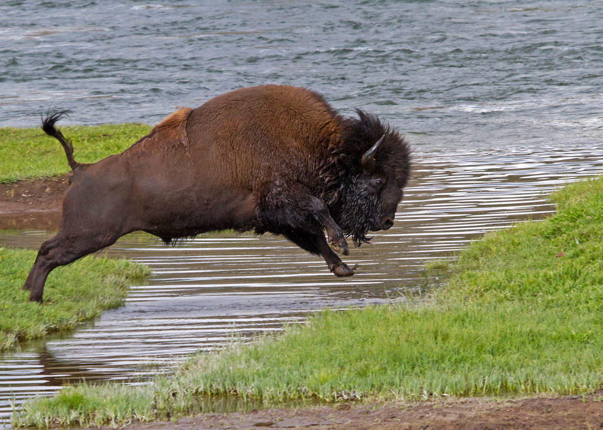 National Park Travel Photo Contest entries