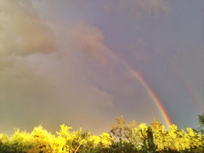 Monsoon rainbows in Tucson