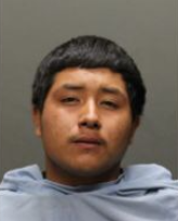 Mug shots 2017