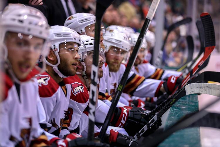Tucson Roadrunners