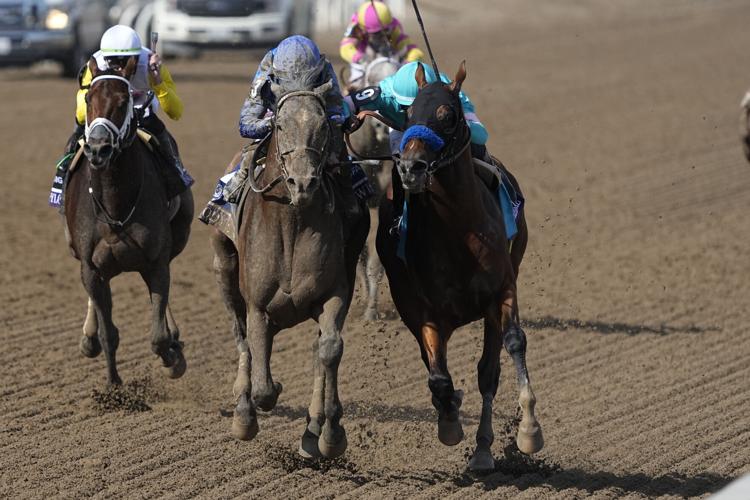 Breeders Cup Dirt Mile Horse Racing