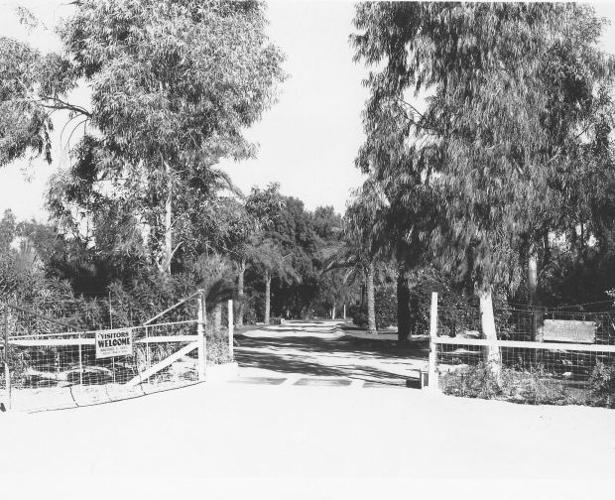 Streetsmarts: Orange Grove Road