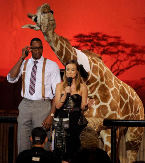 Spike TV's Guys Choice Awards