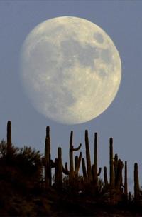 Blue moon occurs on Sunday