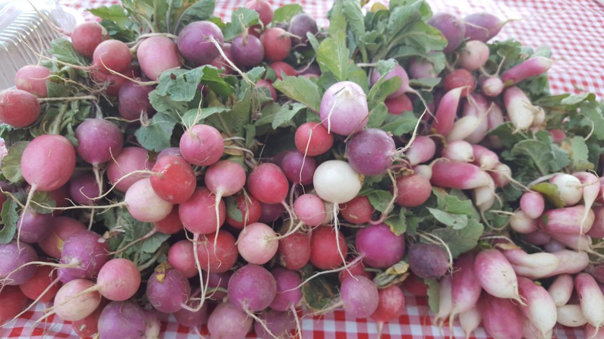 Santa Cruz River Farmers Market