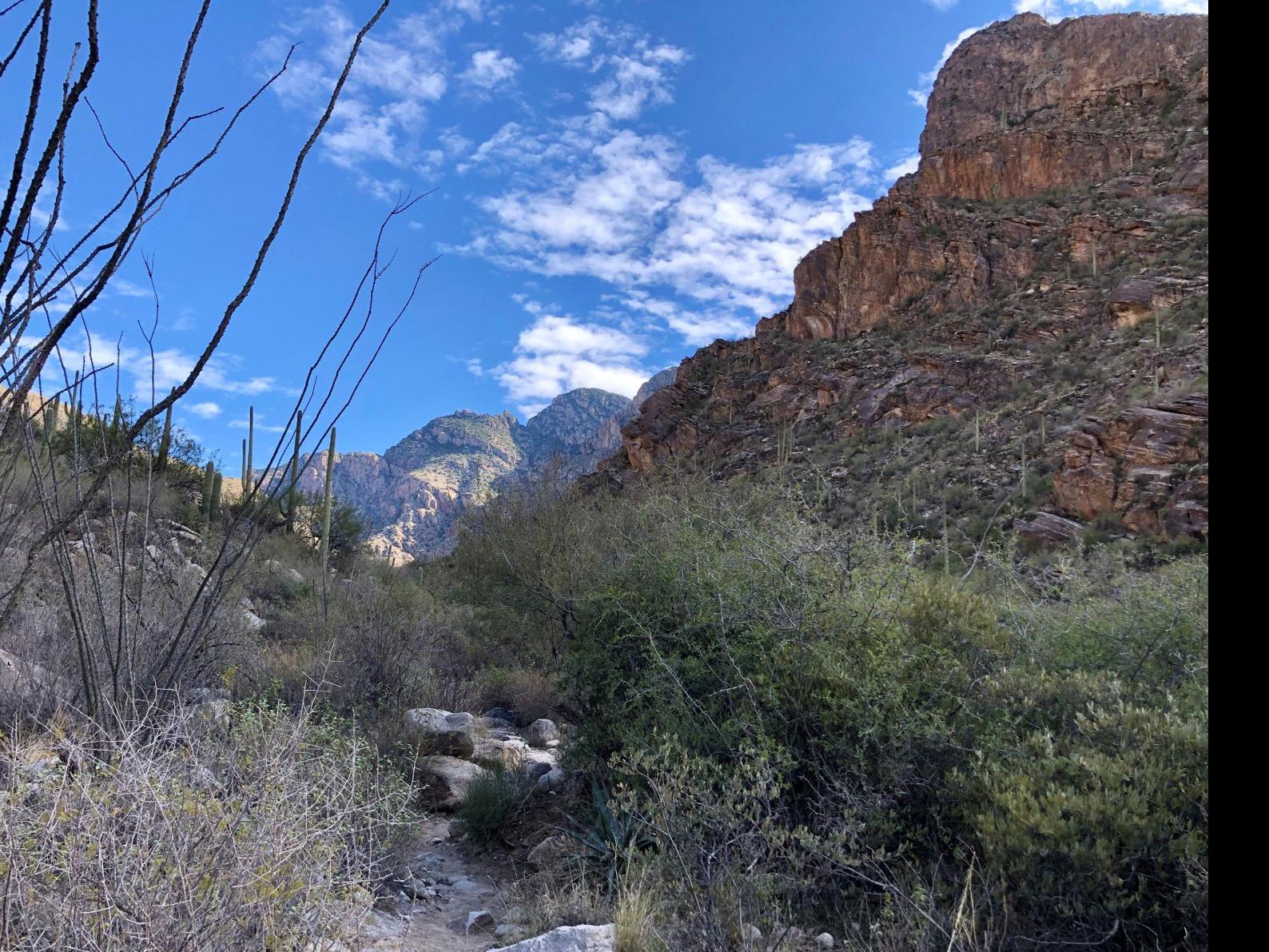 A Helpful Hiker S Guide To Pima Canyon Trail Tucson Life Tucson Com