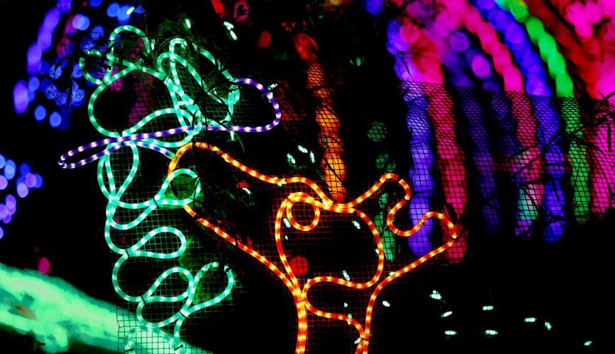 ZooLights LE