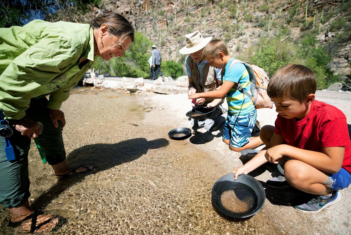 Sabino Canyon Volunteer Naturalists