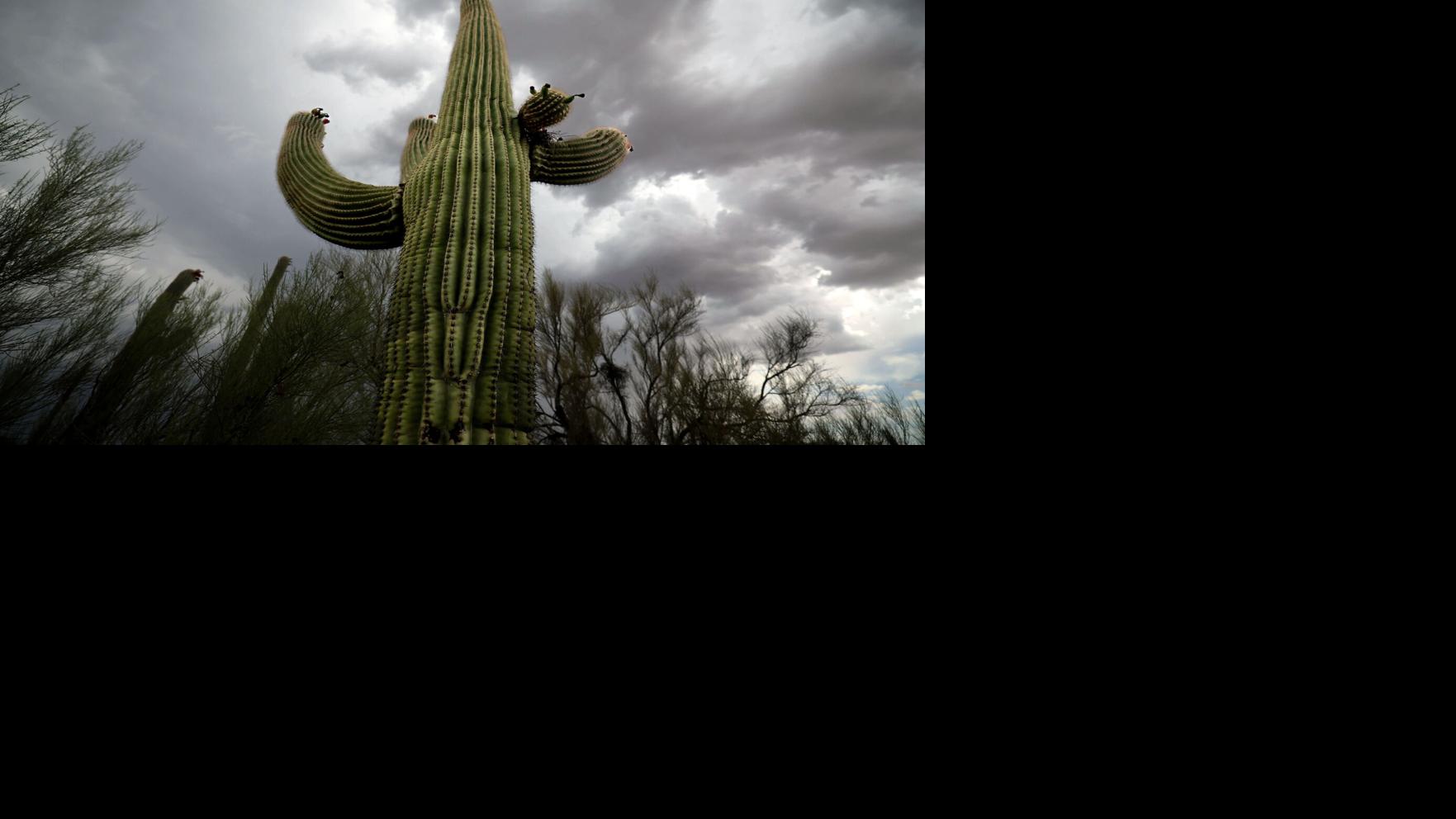 Tucson Speaks Out: July 6
