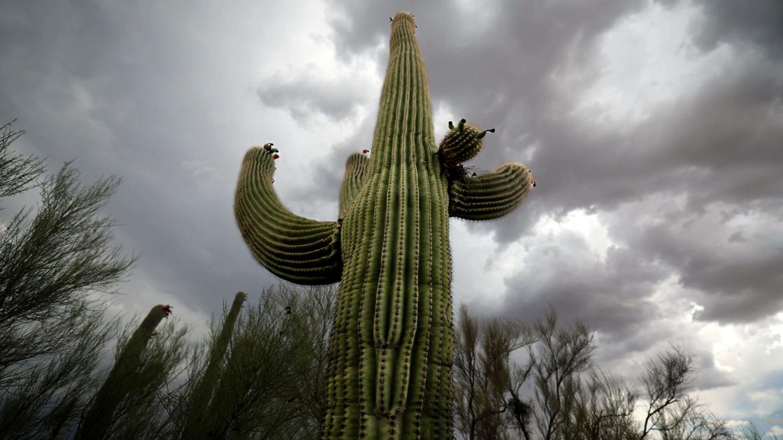 Tucson Speaks Out: July 6